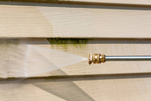 Best Exterior Home Cleaning  in New London, WI