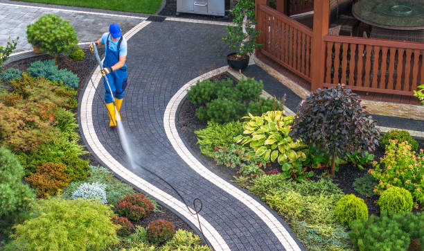 Best Residential Pressure Washing Services  in New London, WI
